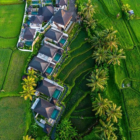 Dewi Kunti Villa Тегаллаланг Экстерьер фото