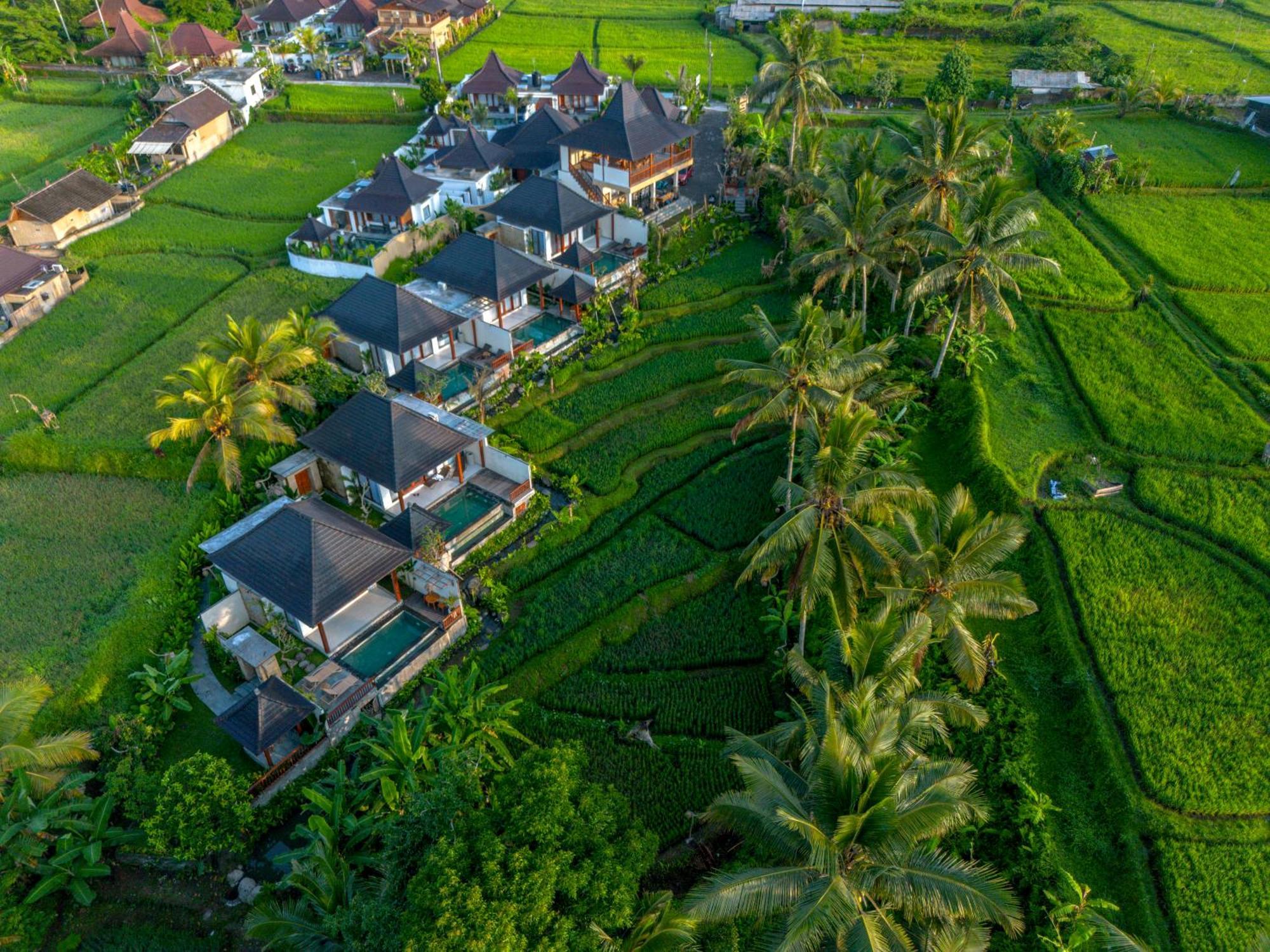 Dewi Kunti Villa Тегаллаланг Экстерьер фото