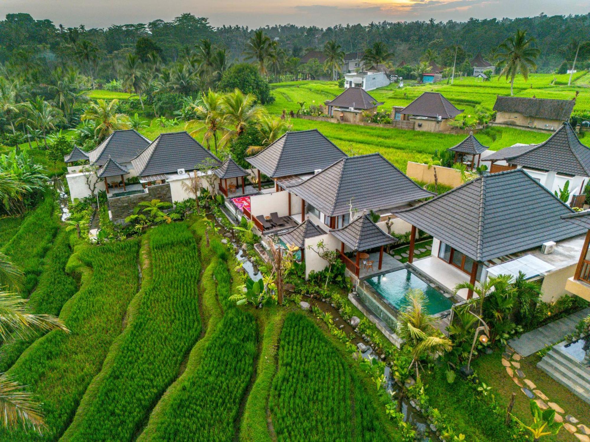Dewi Kunti Villa Тегаллаланг Экстерьер фото